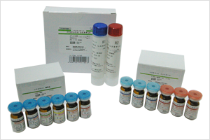 Cystatin C Reagent
