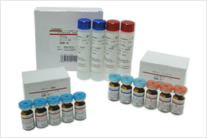 D-Dimer Reagent
